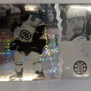 2023-24 UD ICE David Pastrnak