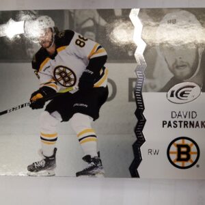 2023-24 UD ICE David Pastrnak