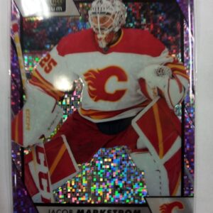 2023-24 O-Pee-Chee platinum Violet Pixels Jacob Markstrom