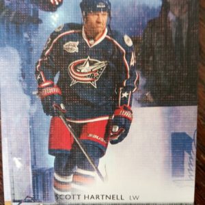 2014-15 UD UD Canvas Scott Hartnell
