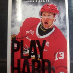 2023-24 Cardset Liiga Play Hard Erik Riska