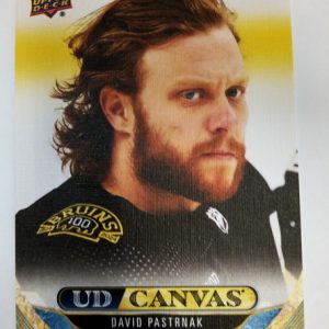 2024-25 UD UDCanvas David Pastrnak