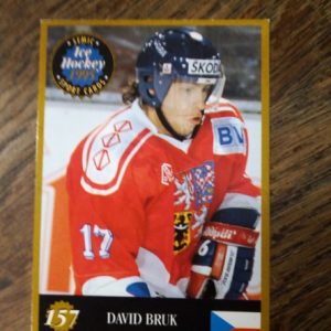 1995-1996 semic ice hockey cards David Bruk