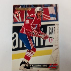 1996 Wien Svein E. Nörstebö