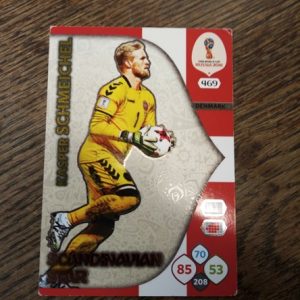 panini adrenalyn Kasper Scheichel