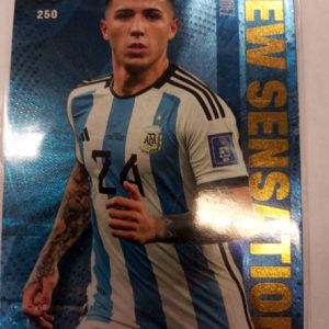 2021-22 Panini Top of Class New Sensation Enzo Fernändez