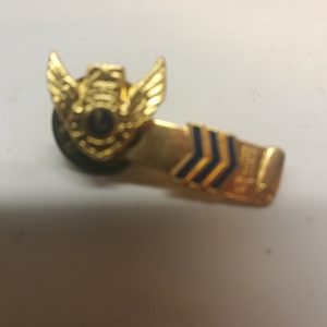 pinssi lions international