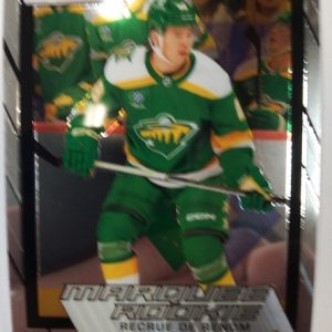 2023-24 O-Pee-Chee Platinum Recrue de Renom Rookie Daemon Hunt