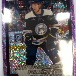 2023-24 O-Pee-Chee Platinum Violet Pixels Marquee de Renom Rookie Hunter McKown