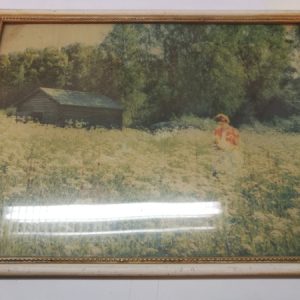 Nainen pellolla/"Juhannusaaton taikaa" valokuvataulu (K)