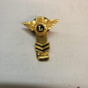 Lions International 15 Years pinssi (K)