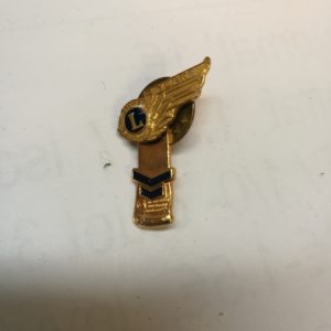 Lions International 5 Years pinssi (K)