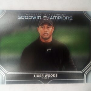 2024 Upper Deck Goodwin Champions Sideway Tiger Woods