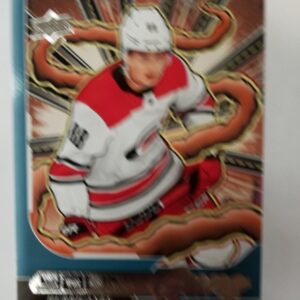 2024-25 UD series 2 young guns Martin Necas