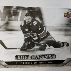 2024-2025 Upper Deck Series 2 Canvas black Filip Hronek