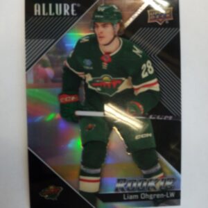 2024-2025 Upper Deck Allure Black Rainbow Rookie Liam Ohgren