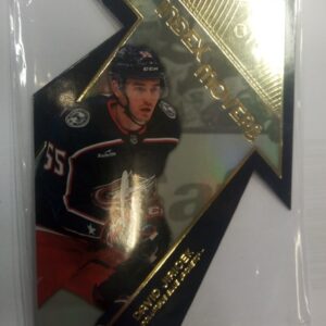 2023-24 Upper Deck Skybox E-X 2000 Index Movers David Jiricek