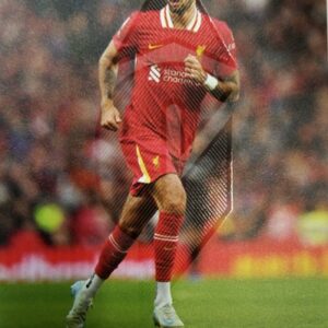 2024-2025 Panini TC Dominic Szoroslai