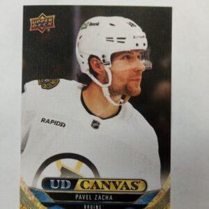 2024-2025 UD series 1 UD Pavel Zacha