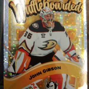 2024-2025 Upper Deck Synergy Wafflehowrded John Gibson