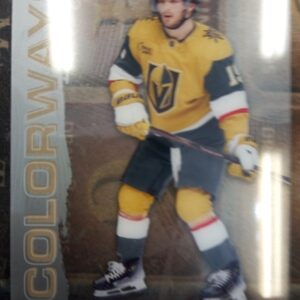 2024-2025 Upper Deck Synergy Colorways Brendan Brisson