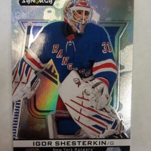 2024-2025 Upper Deck Synergy NHL Impressions Igor Shesterkin