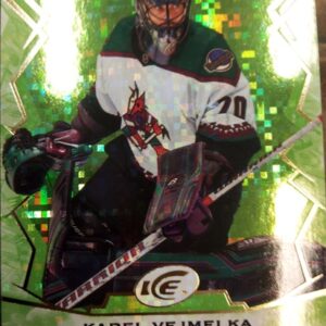 2022-23 UD Ice Karel Vejmelka