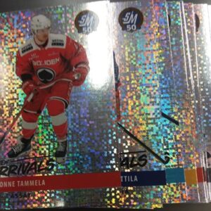 2024-25 Blueline SM-Liiga erkkarit 16 x 4