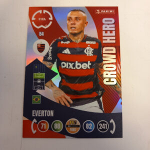 Panini Adrenalyn XL Fifa - Everton, Crowd Hero (K)