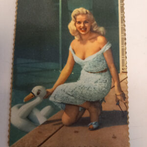 Universum-Film valokuvapostikortti, Diana Dors (K)