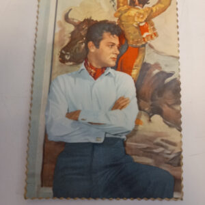 Universum-Film valokuvapostikortti, Tony Curtis (K)