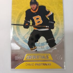 2021-2022 UD Credentials David Pastrnak