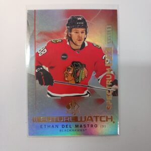 2024-25 Upper Deck SP Authentic Spectrum FX Level 1 Future Watch Ethan Del Mastro S-46