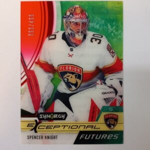 2021-22 UD Synergy Exceptional Futures Spencer Knight #EF-SK 393/499