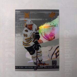 2024-25 UD SPx Holoview F/X David Pastrnak #HV-19