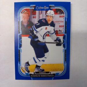 2025-26 UD O-Pee-Chee Blue Vladislav Namestnikov #450