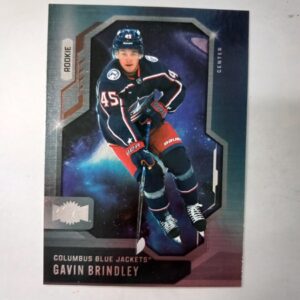 2024-25 Skybox Metal Universe Rookie Gavin Brindley #120