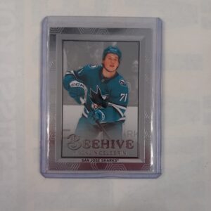 2024-25 UD Extended Series Beehive Macklin Celebrini #BH-24