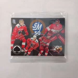 2024-25 SM-Liiga Blueline Finland Ässät Team Set