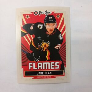2025-26 UD O-Pee-Chee Retro Jake Bean #238