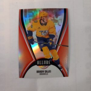 2025-26 Upper Deck Allure Red Rainbow Brady Skjei #74