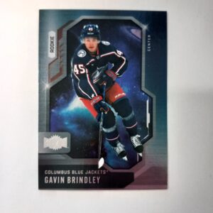 2024-25 Skybox Metal Universe Rookie Gavin Brindley #120