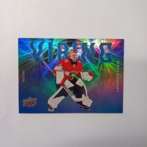 2025-26 Upper Deck Series 2 Vibing Sergei Bobrovsky #VB-26