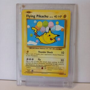 Flying Pikachu EVO 110