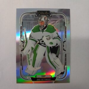 2025-26 O-Pee-Chee Platinum Rainbow Jake Oettinger #196