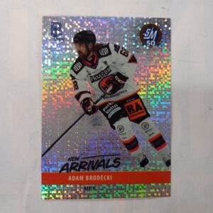 2024-25 SM-Liiga Blueline Series 1 New Arrivals Adam Brodecki #NA-02