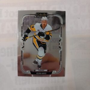 2025-26 O-Pee-Chee Platinum Kevin Hayes #180