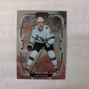 2025-26 O-Pee-Chee Platinum Dylan Guenther #31