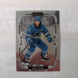 2025-26 O-Pee-Chee Platinum Mario Ferraro #43