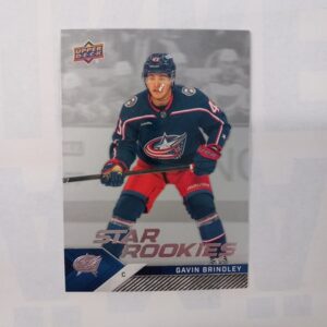 2024-25 UD Star Rookies Gavin Brindley #6